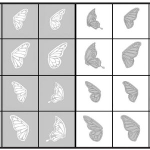 Airnails Butterfly Wings Collection