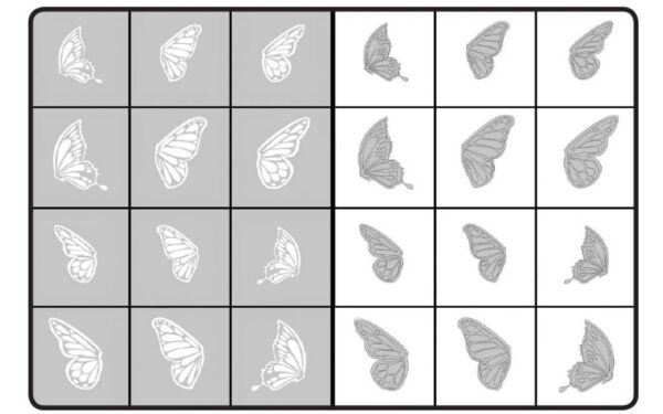 Airnails Butterfly Wings Collection