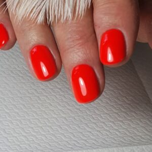 Perfecte Gelpolish 2 daagse