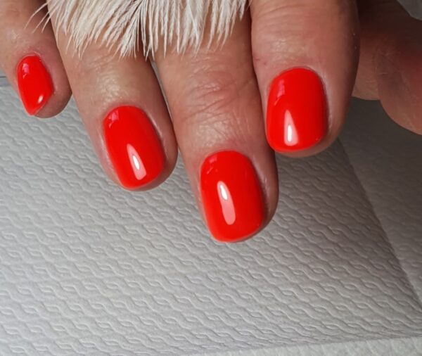 Perfecte Gelpolish 2 daagse